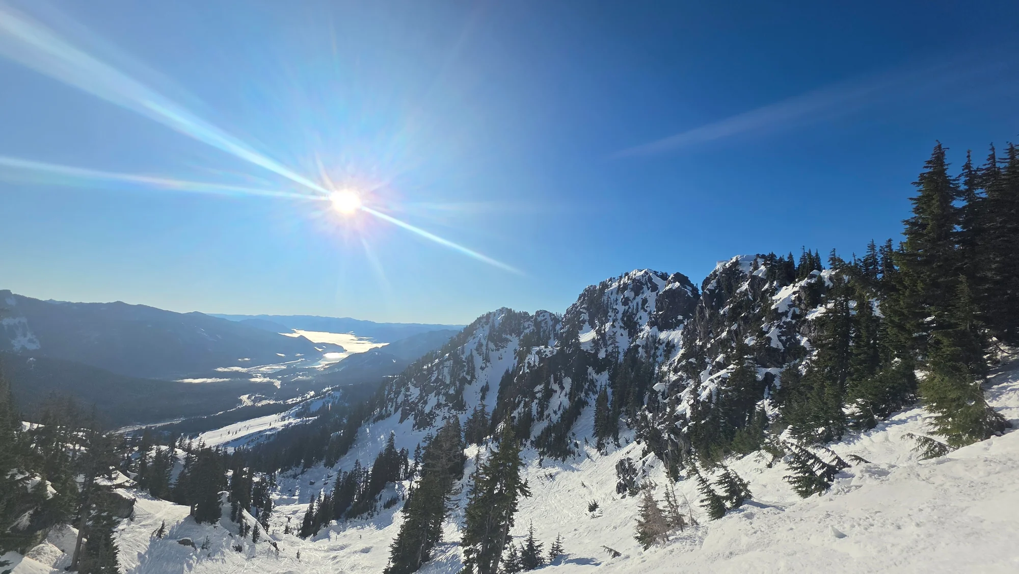 Gizzard Glass Designs background